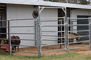 horsestables